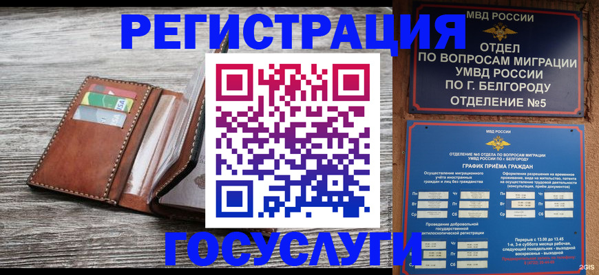 временная регистрация гарантия в Камызяке